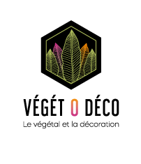 Logo VegetoDeco